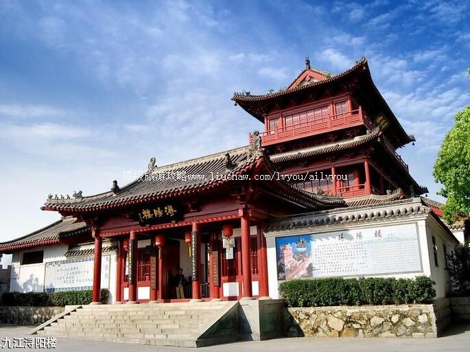 �����Ž����¥���ι���