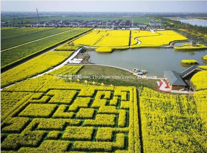 3A张家港常阴沙生态农业旅游区旅游攻略