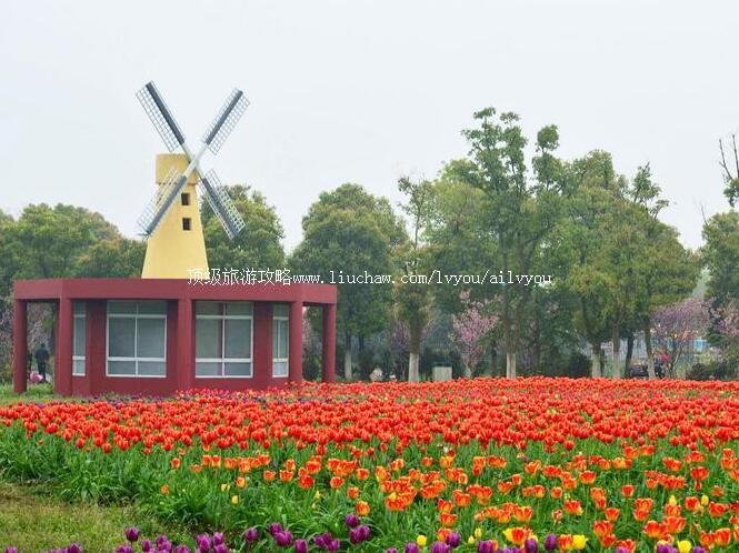 3A苏州中国花卉植物园旅游攻略