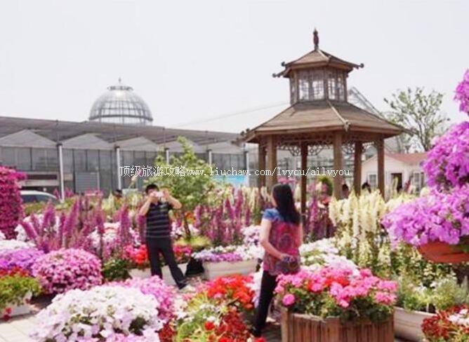 3A苏州五谷丰灯景区旅游攻略