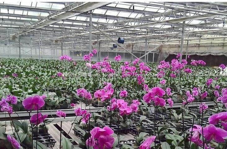 3A����������������԰���ι���