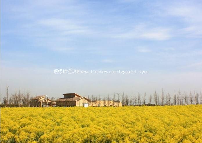 3A��޳���ҩ��ֲ��԰���ι���