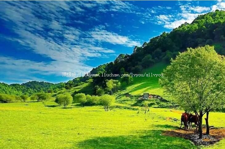 4A陕西宝鸡大水川风景区旅游攻略