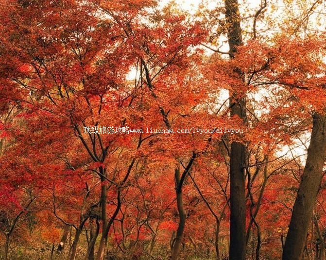 4A南京栖霞山风景名胜区旅游攻略