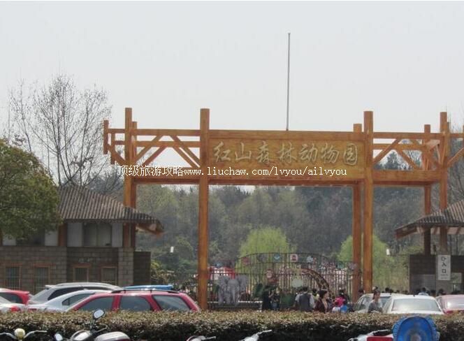 4A南京红山森林动物园旅游攻略