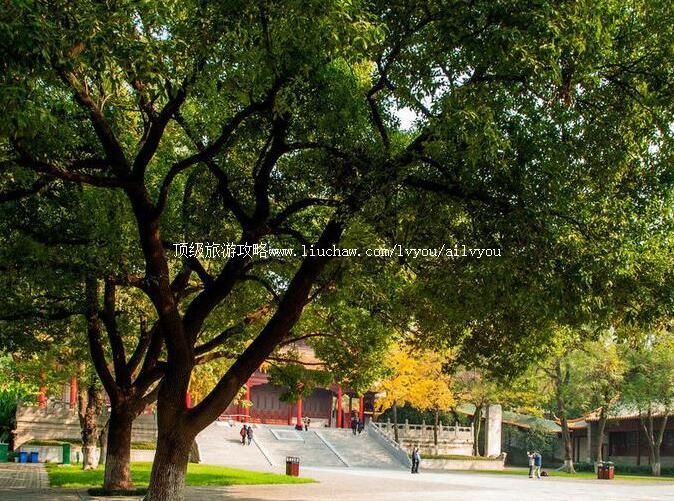 3A�Ͼ��в�������ι���