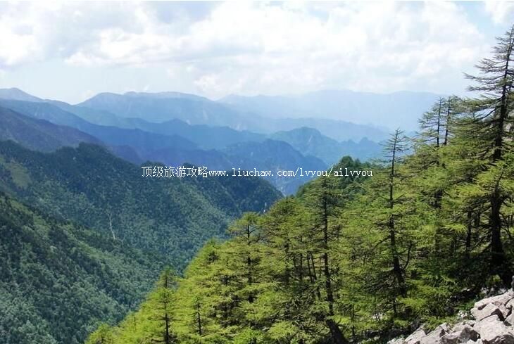 4A������ӹ�ɭ�ֹ�԰���ι���