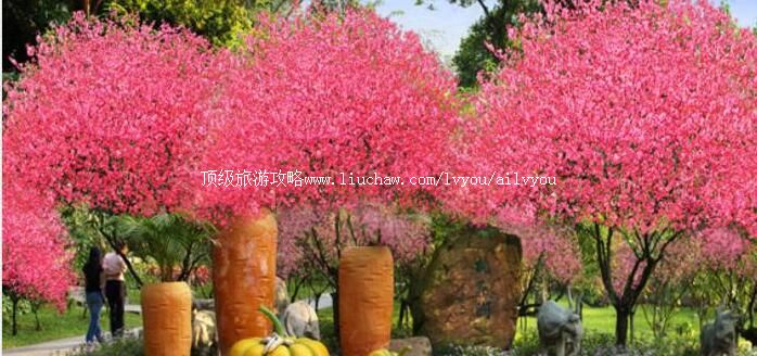 4A连云港桃花涧景区旅游攻略