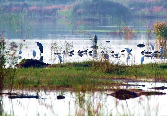 3A赣榆和安湖湿地公园旅游攻略