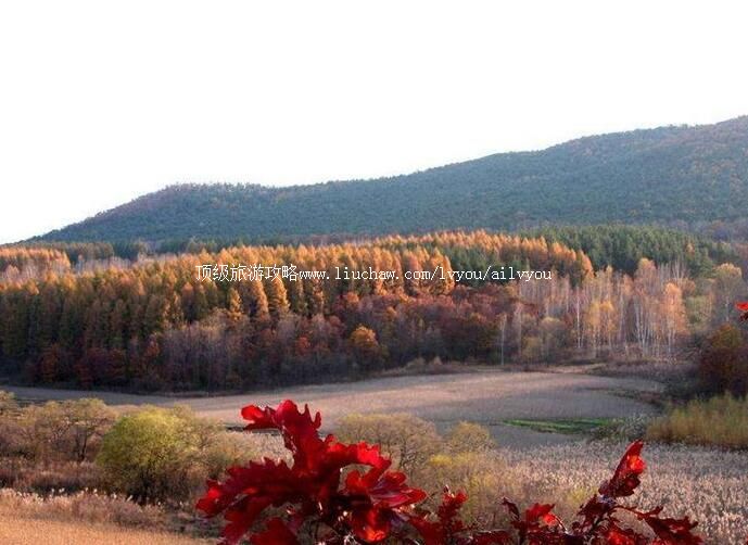 3A东海青松岭森林公园旅游攻略