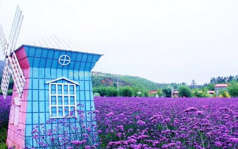 4A�������������ɹ����ι���