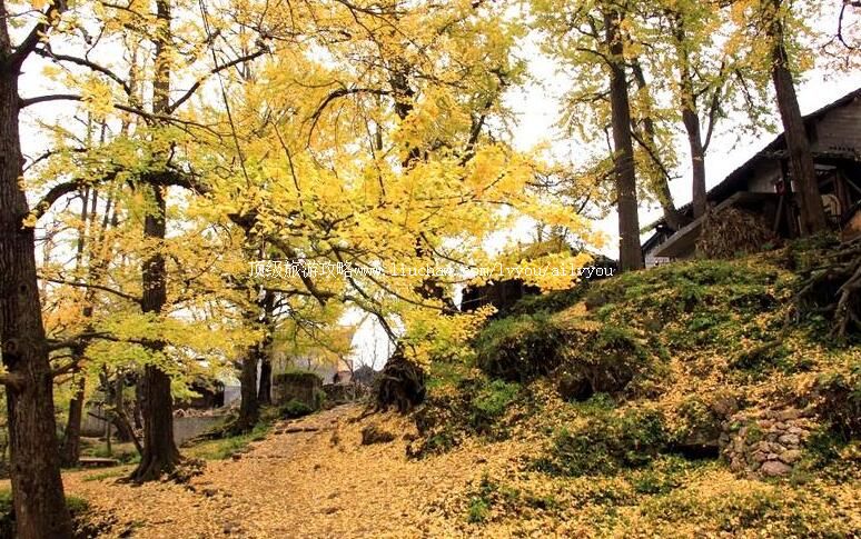 4A�������ع����ӷ羰�����ι���