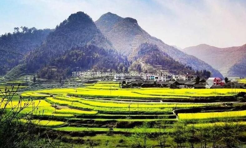 3A贵州贵定金海雪山旅游攻略