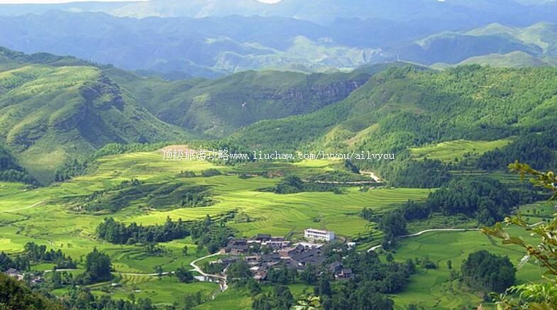 3A���ݹ������������ξ������ι���