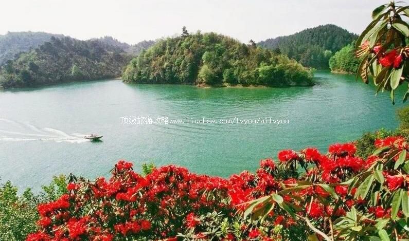 3A贵州长顺杜鹃湖旅游攻略