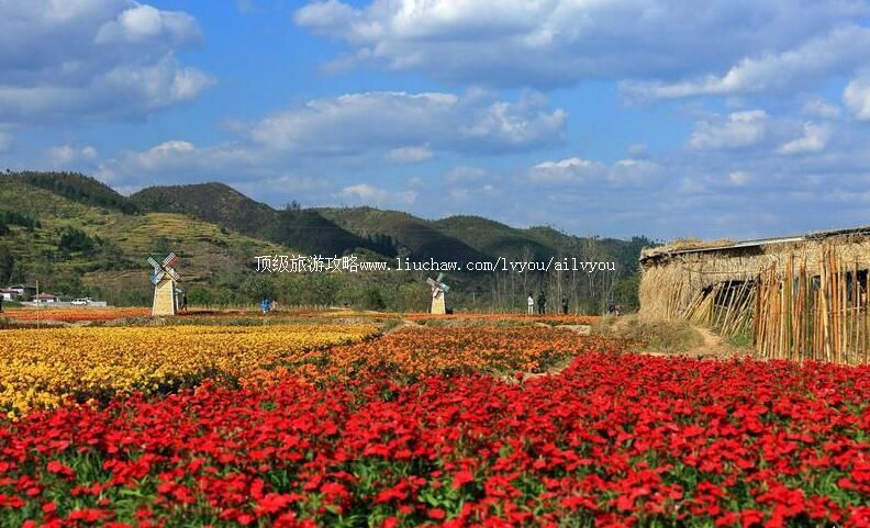 4A贵州惠水好花红乡村旅游景区旅游攻略