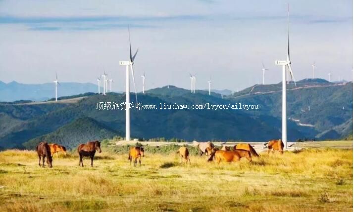 4A贵州龙里油画大草原旅游攻略