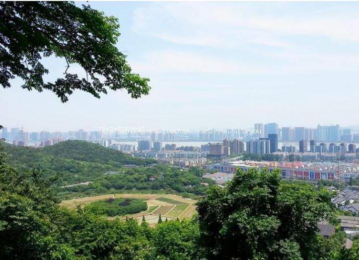 杭州玉皇山风景区旅游攻略
