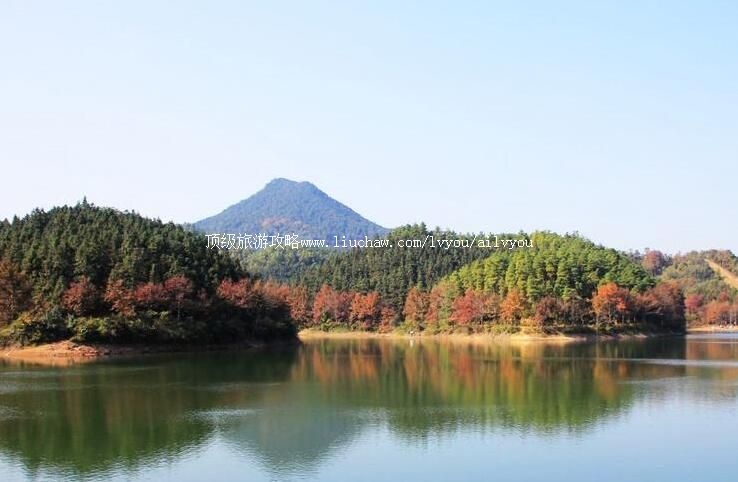 �����ຼ����ˮ�����ι���