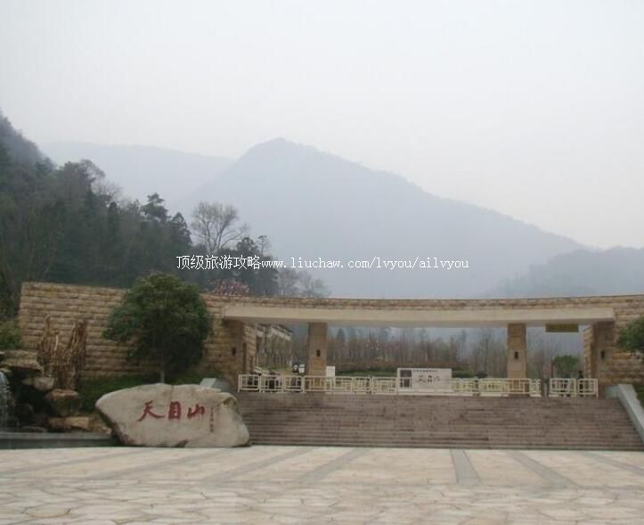 4A杭州天目山风景名胜区旅游攻略