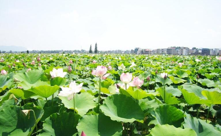 4A����Ƽ�������ɻ�����԰���ι���