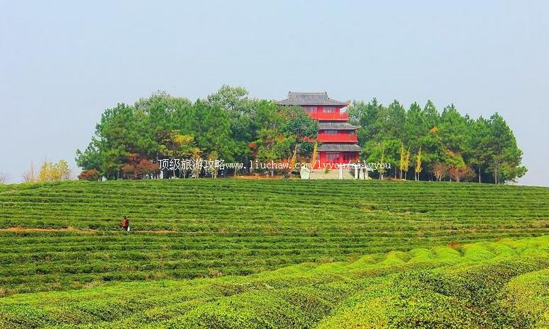 4A������˹��羰�����ι���