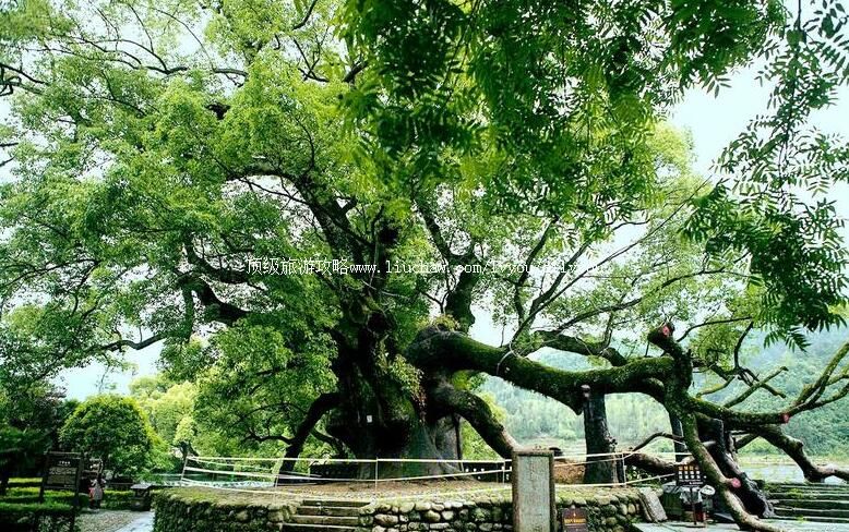 4A������Դ��������羰�����ι���