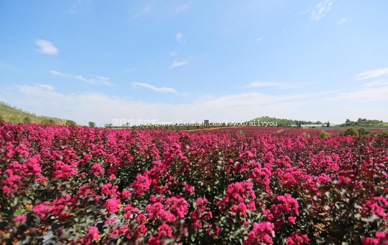 4A������ɴ����������ι���