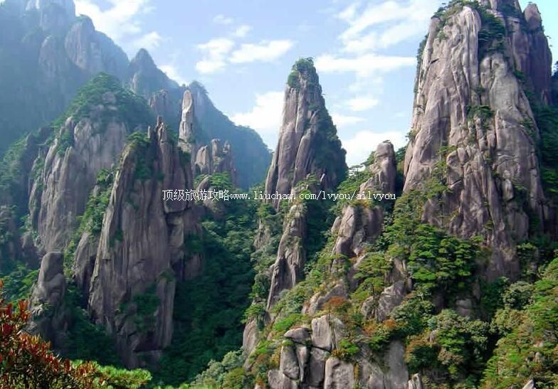 5A������������ɽ���ι���