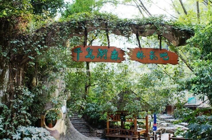 3A杭州千岛湖森林氧吧旅游攻略