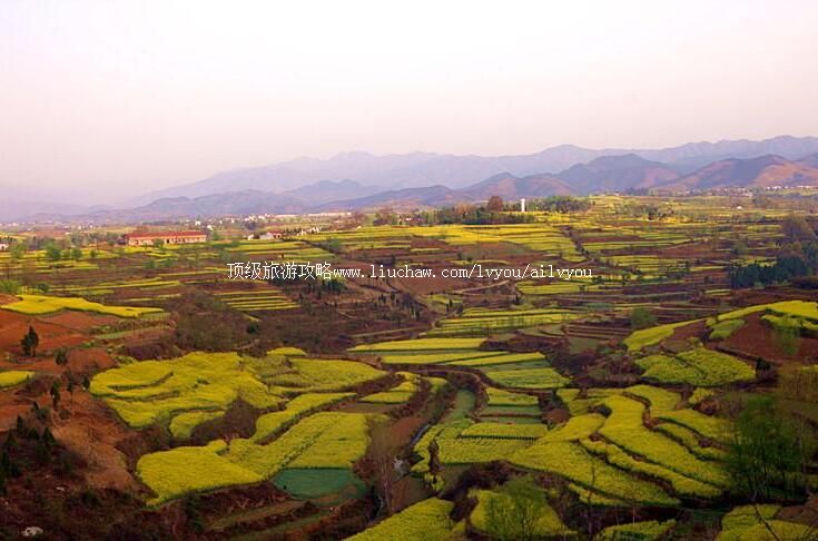 陕西汉中朱鹮国家级自然保护区旅游攻略