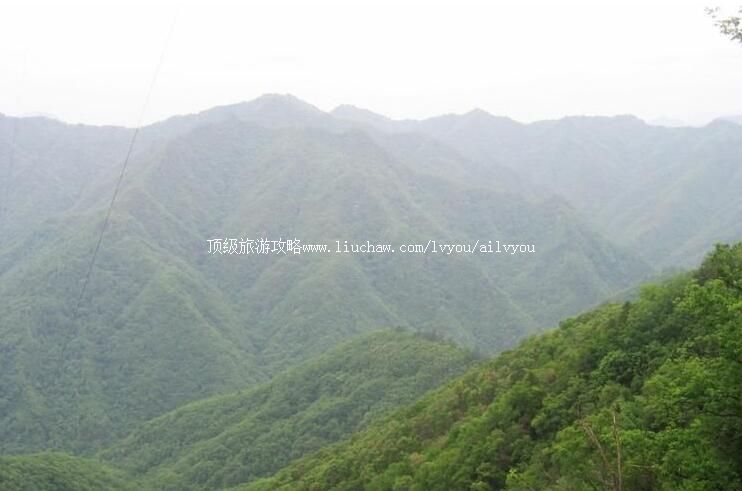 陕西桑园国家级自然保护区旅游攻略