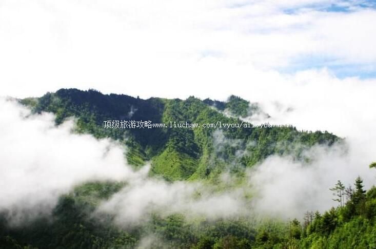 陕西长青国家级自然保护区旅游攻略