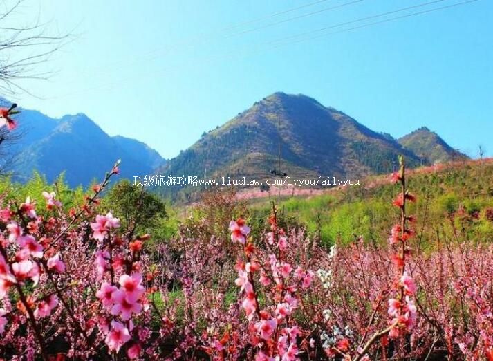 3A陕西竹林关桃花谷景区旅游攻略