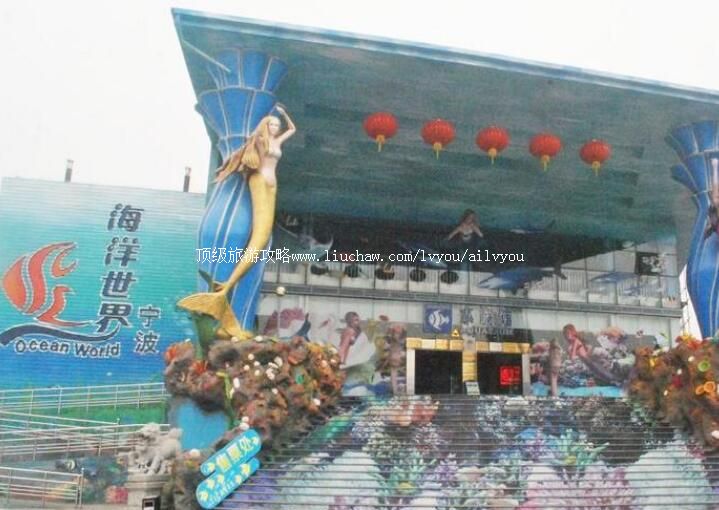 4A���������������ι���