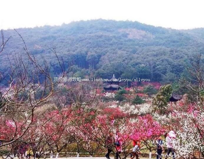 4A�������ؾŷ�ɽ�羰�����ι���