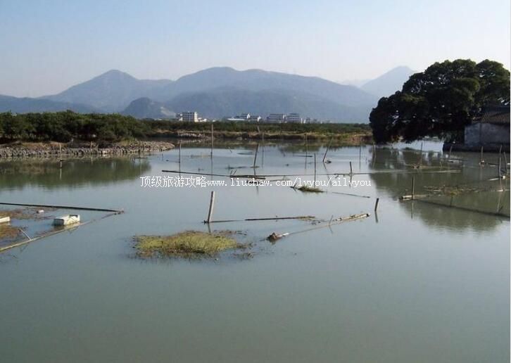 温州三垟湿地旅游攻略