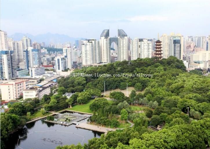 ���ݿƼ������ι���