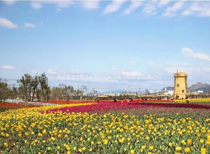 龙湾雅林现代农业园旅游攻略