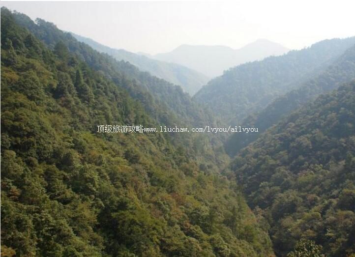 4A�㽭̩˳���������ι���