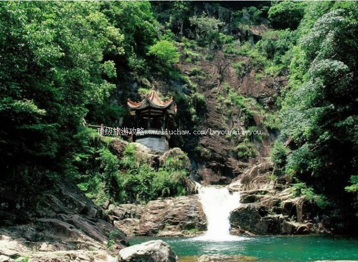 4A�𰲻��ҹ���ɭ�ֹ�԰���ι���