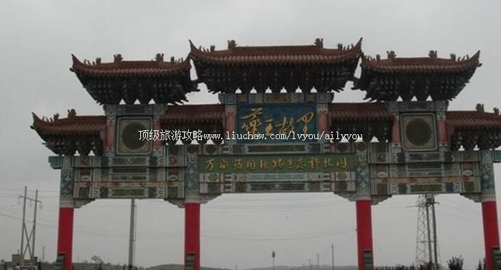 3A����ͭ��ҩ���������ι���