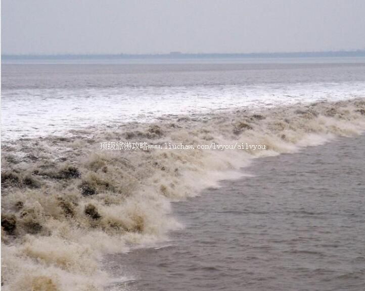 Ǯ�������������ι���