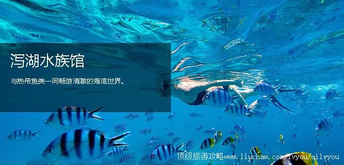 �������������� �������棺2��