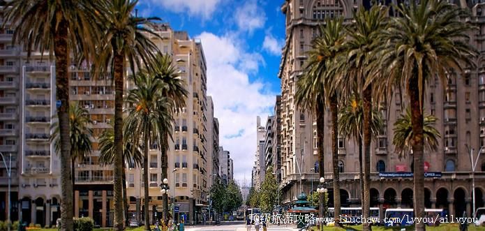 ������ �������棺1��