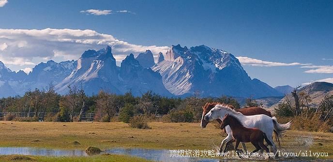 ���� �������棺1��