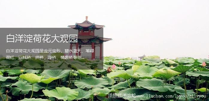 河北 雄安新区 建议游玩:1天