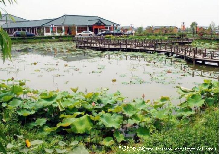 4A湖州移沿山生态景区旅游攻略