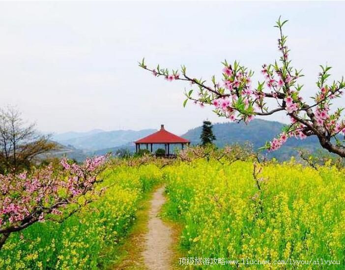 3A���˳�ɽ�����ι���