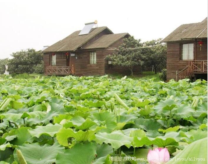 3A德清杨墩休闲农庄旅游攻略